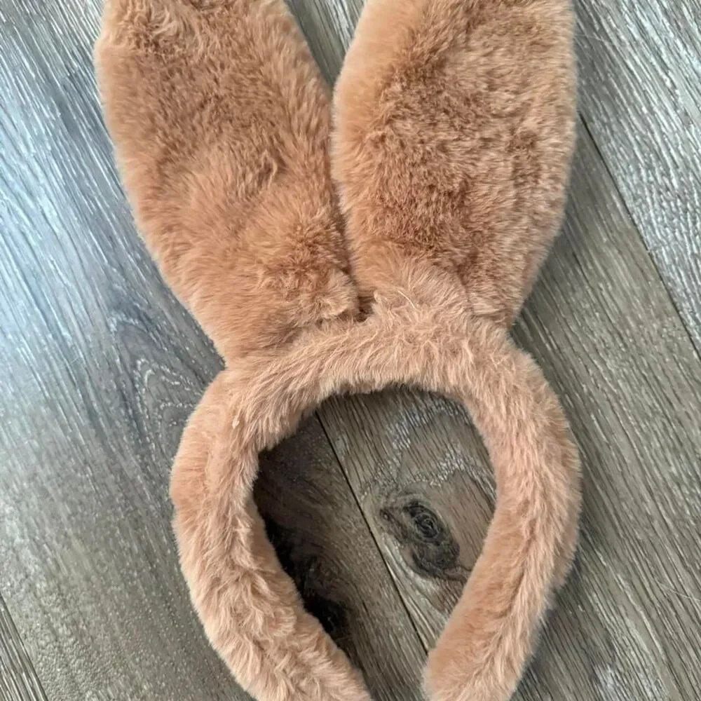 Source Unknown brown bunny